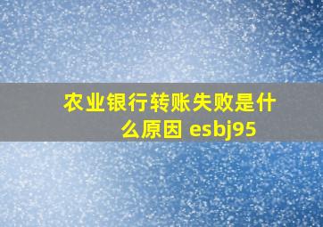 农业银行转账失败是什么原因 esbj95